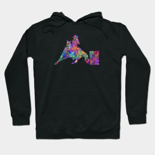 Barrel racing watercolor art Hoodie